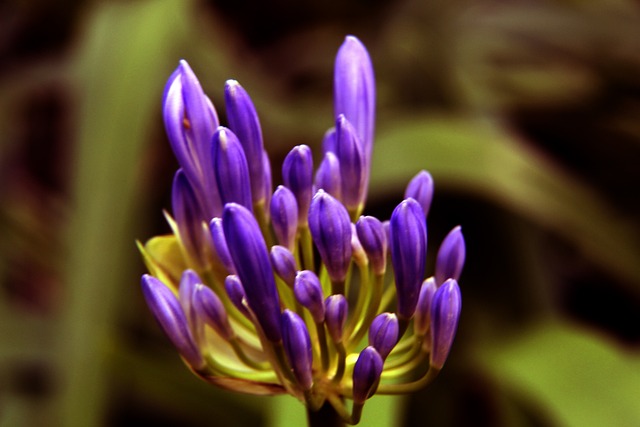 人文光芒
