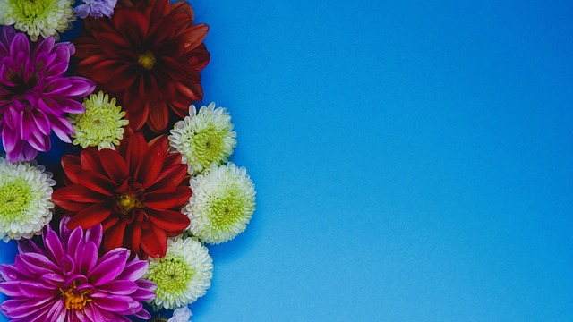 阿尔瓦雷斯 阿尔瓦雷斯