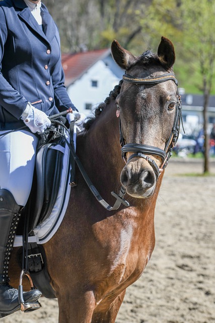 我们将探讨 我们将探讨