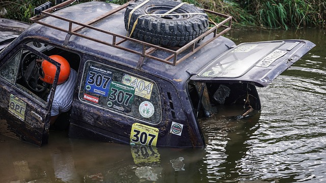 在致力于 在致力于