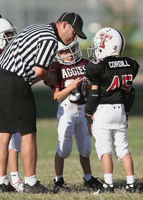 获得稳定的 获得稳定的