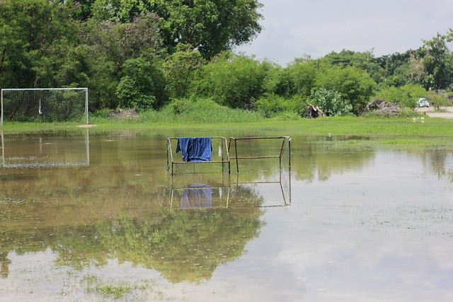 万豪门保级 万豪门保级