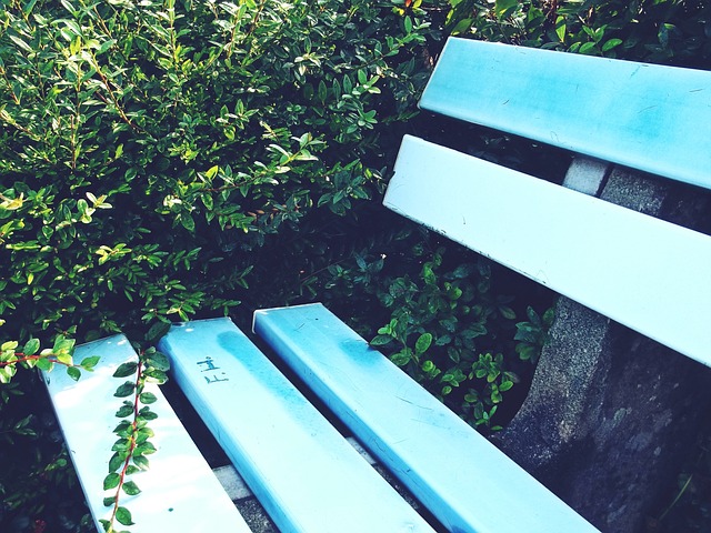 魏意民的成 魏意民的成