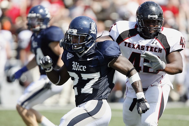 固的部分 固的部分